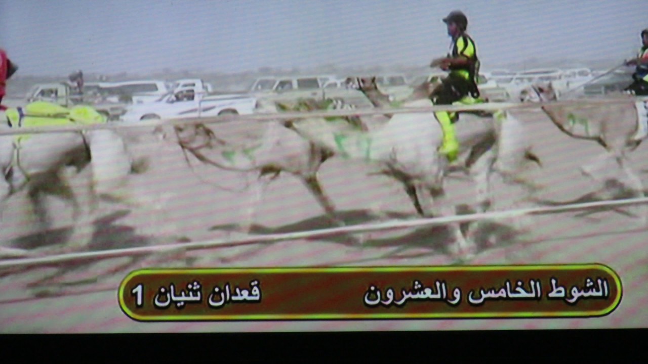 قعدان ثنيان الشمالي / سعود سعد القرشي