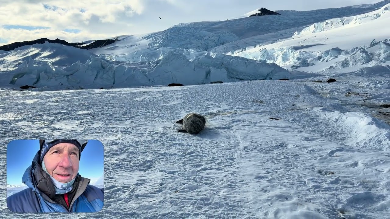 Dr. Jay Rotella Reports From North Base Weddell Seal Pupping Colony