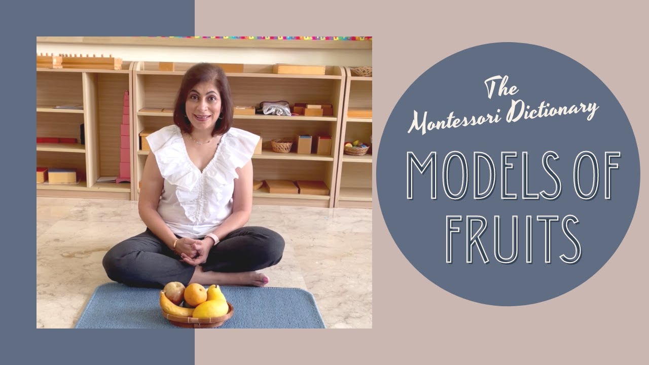 Montessori Dictionary   Models of Fruit
