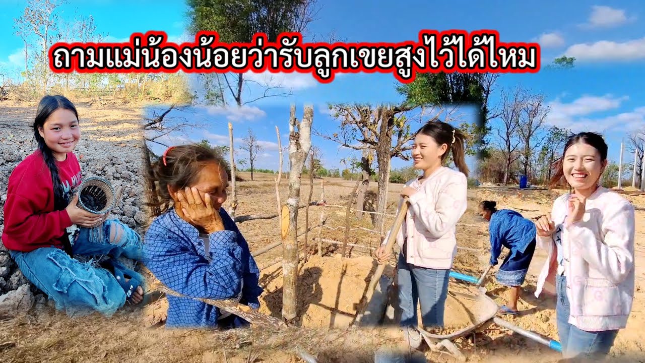 #ถามแม่น้องน้อยว่าจะรับลูกเขยสูงวัยได้ไหม🥰#ขนดินช่วยแม่น้องน้อย 14 มีนาคม ค.ศ. 2026