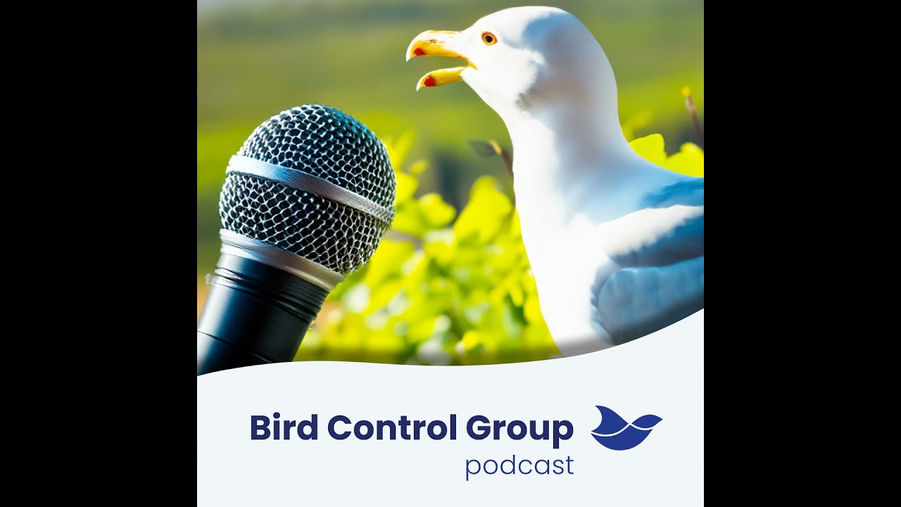 Episode 1 - Bird talk with our Australian Partner, Michelle Kerr