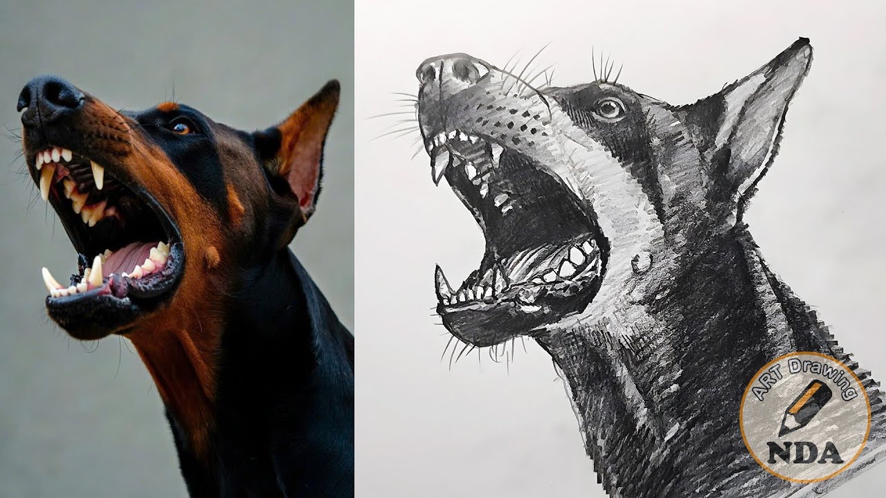 DOG DRAWING - ART DRAWING NDA