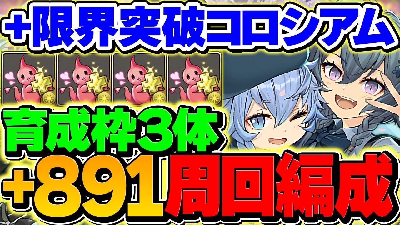 【革命】育成枠3体で+限界突破コロシアムをずらし周回！1周3分半で快適に+891作れます！【パズドラ】