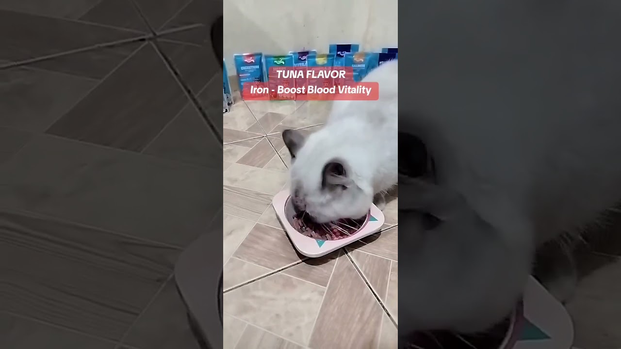 Mr Vet - TUNA Boost Blood Vitality! 🐟✨ #mrvet #catwetfood #tunacatfood
