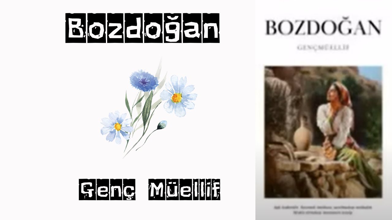 Bozdoğan - 1. Bölüm - Gönülsüz Evlilik |Genç Müellif|