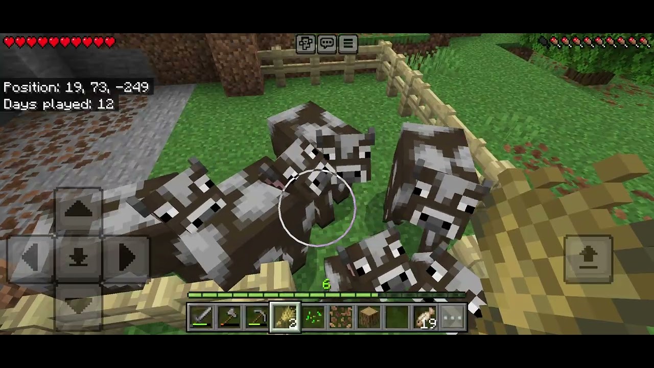 Vacile stau in pestera pt5