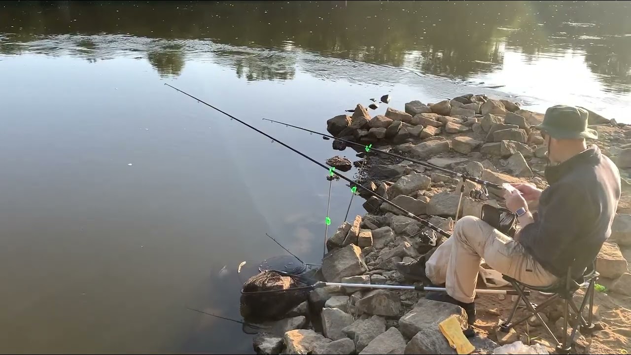Рыбалка на р. Одра. Лещ в жару!