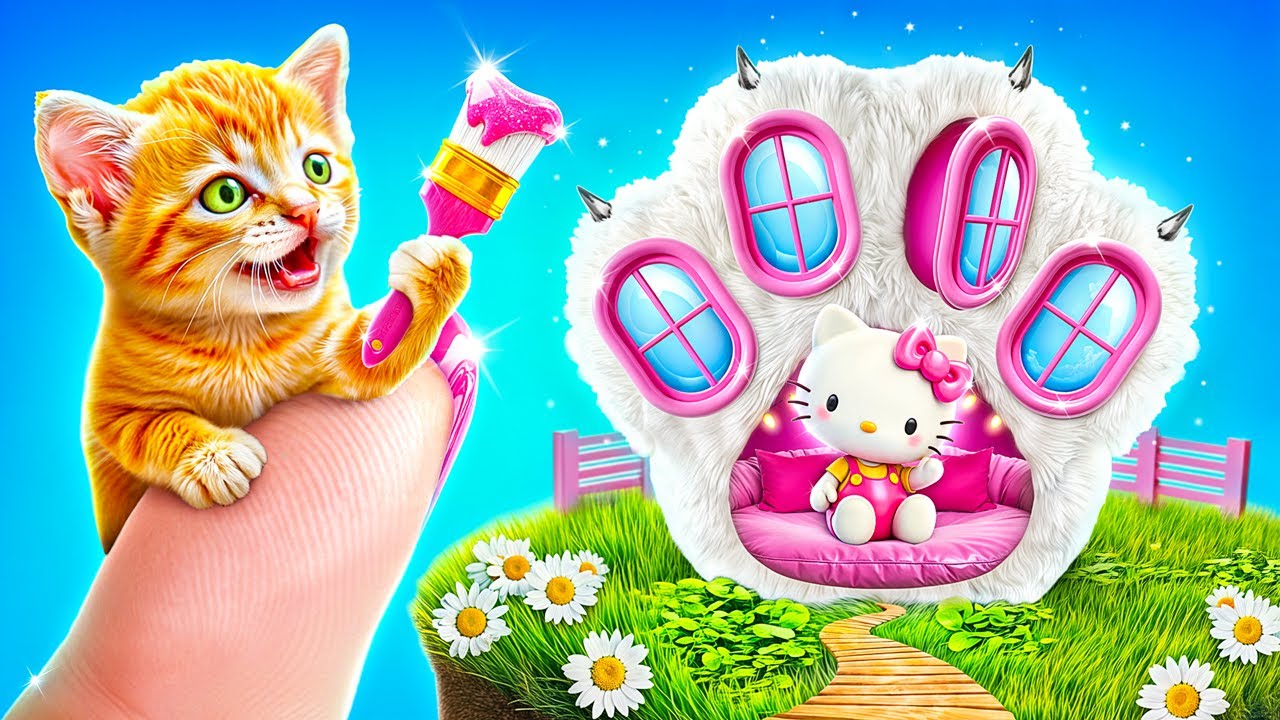 ¡Hello Kitty Construye una Casa para un Gatito Sin Hogar!