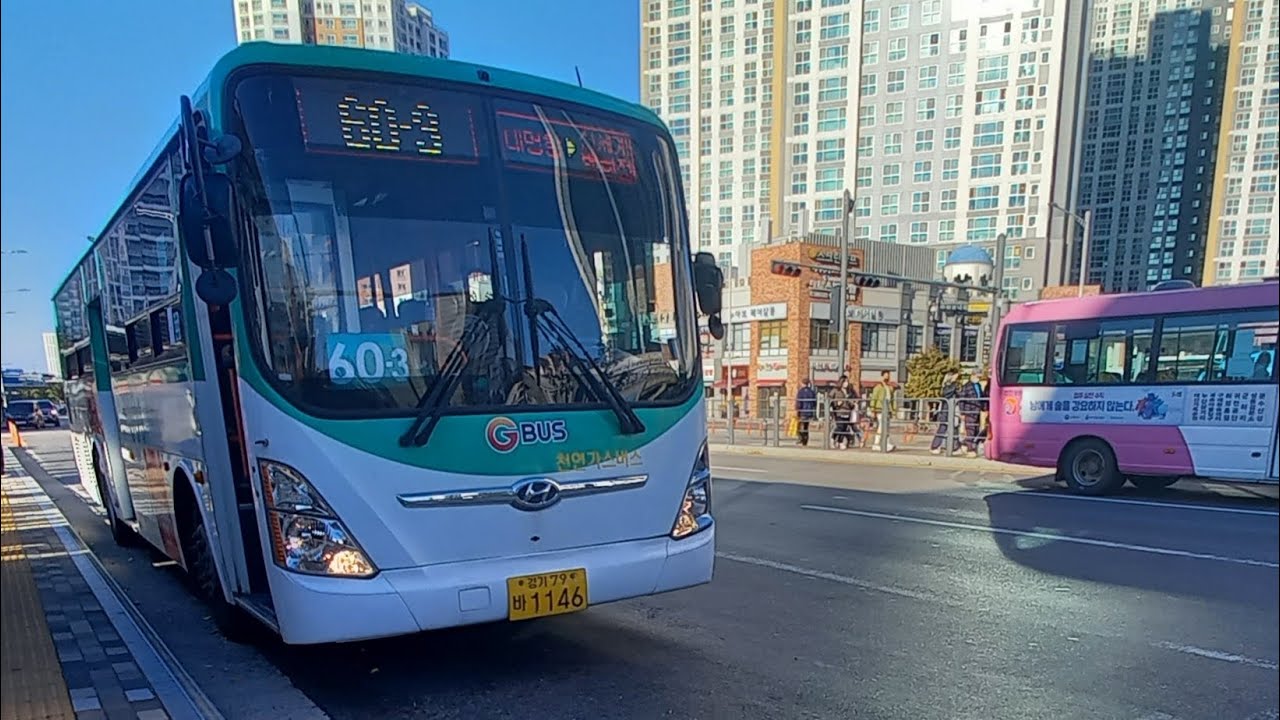 김포 버스 60-3 전구간 주행영상 (영등포~대명항)
