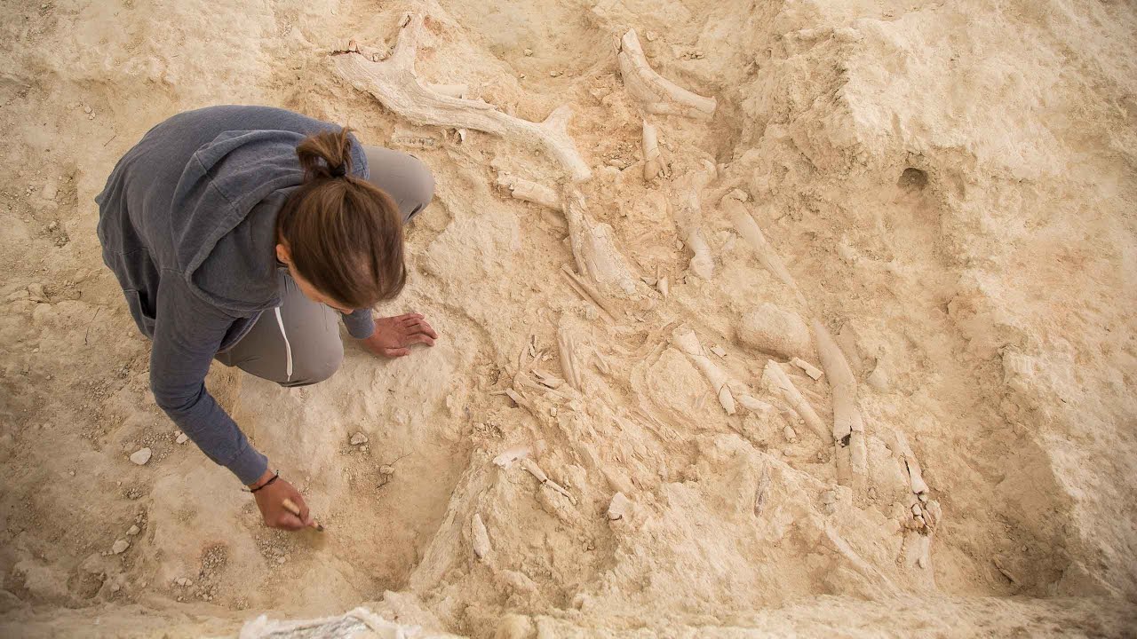 La Zona Arqueológica 'Cuenca de Orce' (Granada): Quiénes somos; de dónde venimos