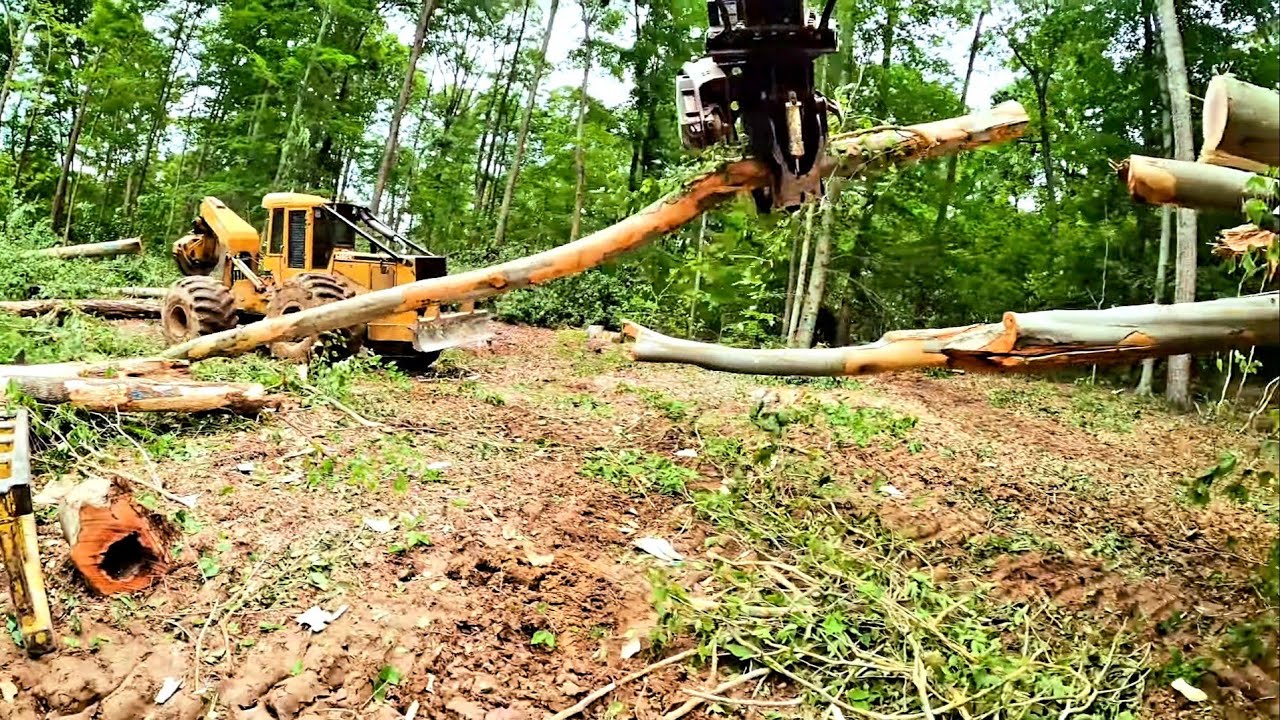 Trying to operate a Cat 321D with Rotobec RPA,  this is gonna be intresting
