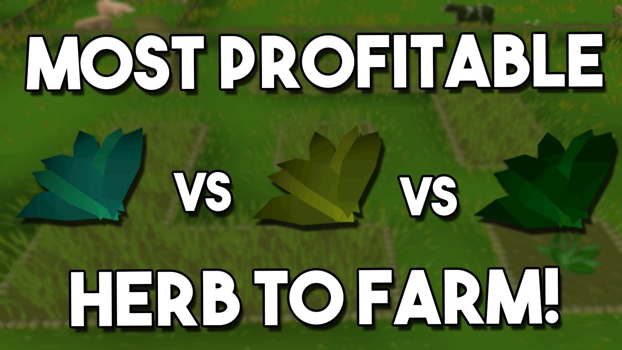 What is the Most Profitable Herb to Farm? [OSRS] An Oldschool Runescape Farming Guide!