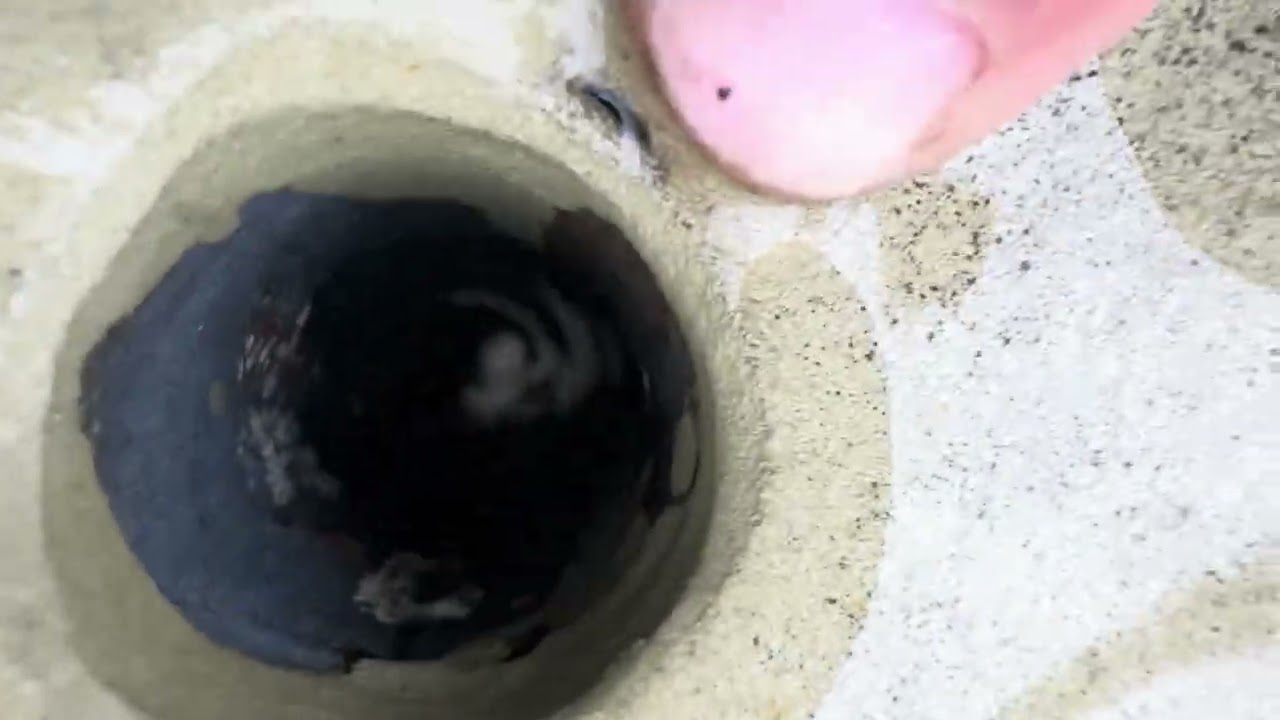 Chasing leaks and a new prop shaft