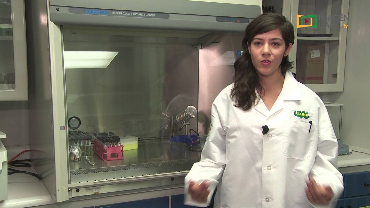 Cápsula de Licenciatura en Biología UABC Ensenada