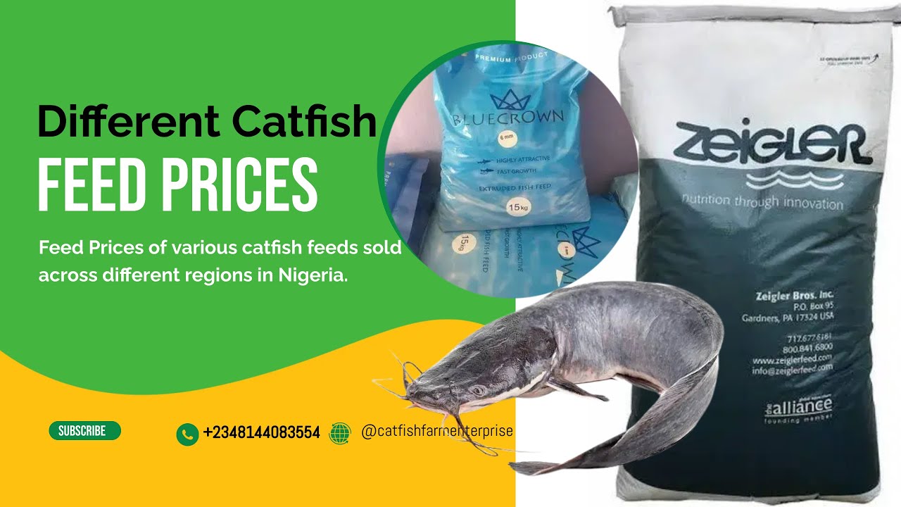 Catfish Feed Prices from different regions in Nigeria (Zeigler, Bluecrown, Ecofloat) #fishfeeding