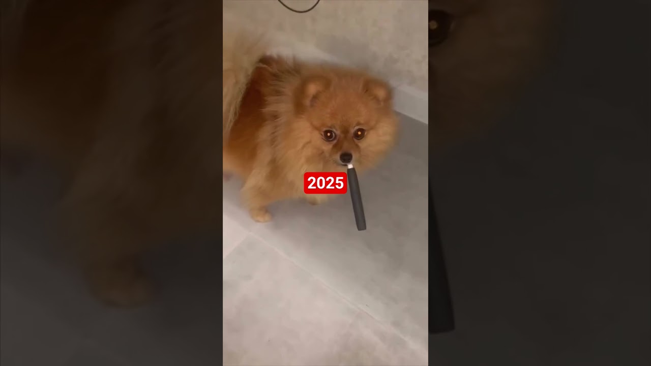 end year 2025 new year 2026