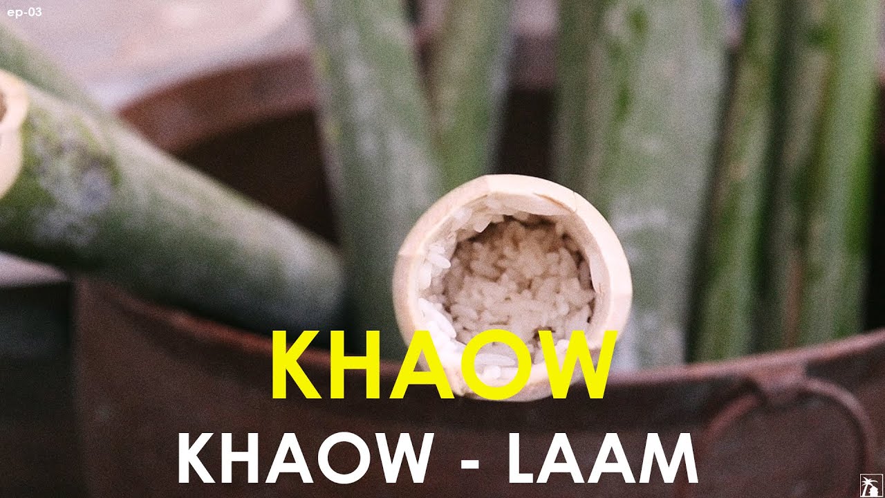 KHAOW VLOG_03 | KHAOW LAAM (BAMBOO RICE)