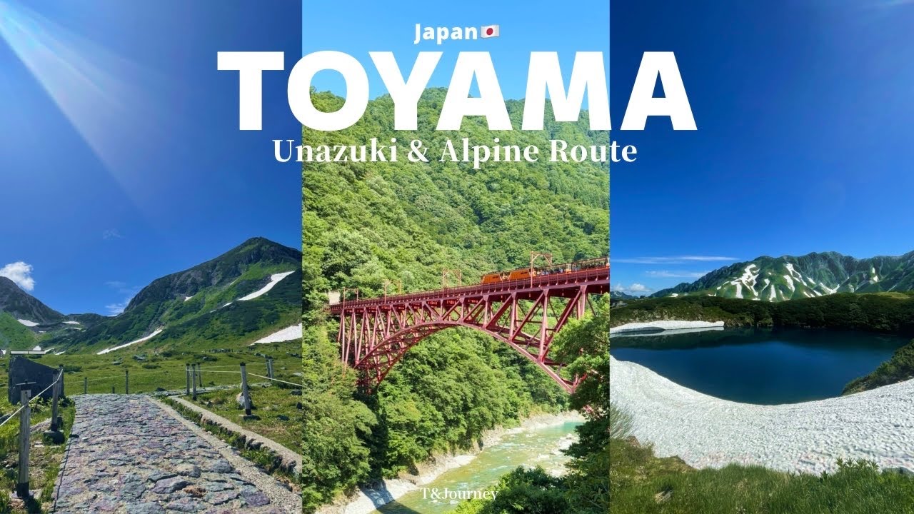 【猛暑35℃→絶景23℃】夏の天国！立山黒部アルペンルート＆トロッコ列車を満喫する富山旅行🚞⛰️