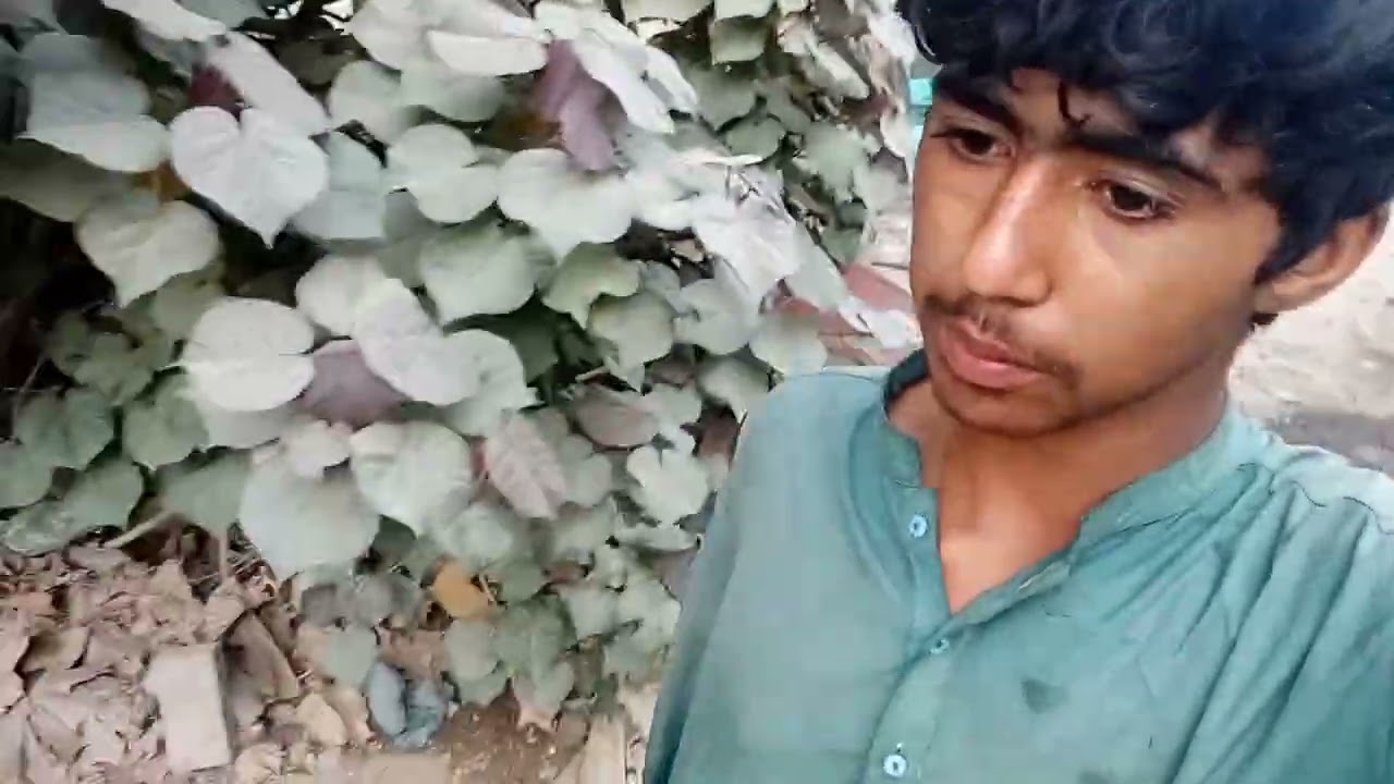 اج اپ کو گودام کا ماحول دکھاتے ہیں