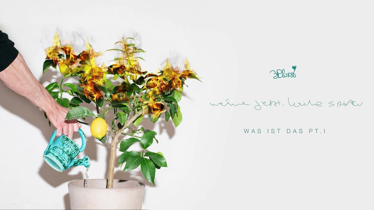 3Plusss - WAS IST DAS PT.I (prod. von Peet) [Official Audio]