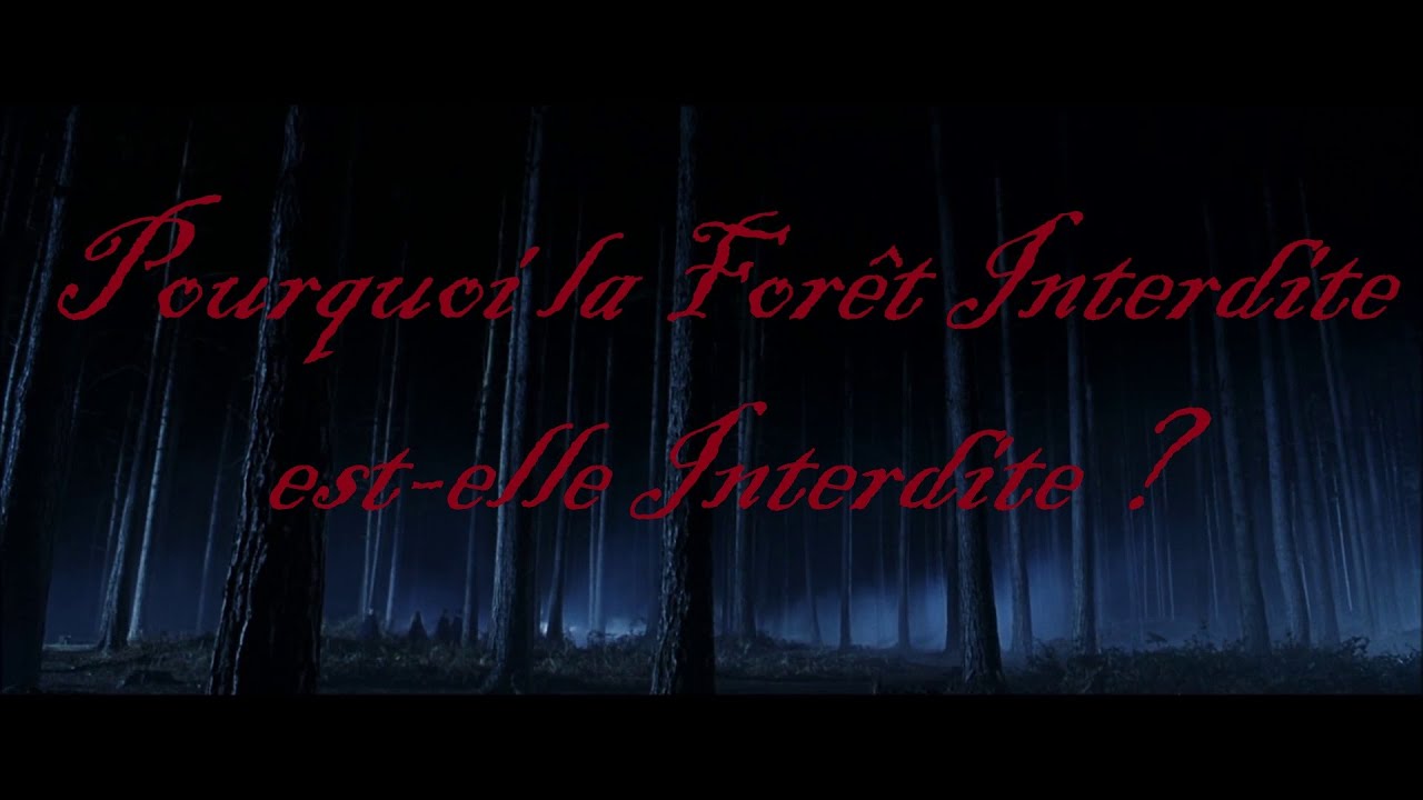 Pourquoi la For&ecirc;t Interdite est-elle Interdite ?
