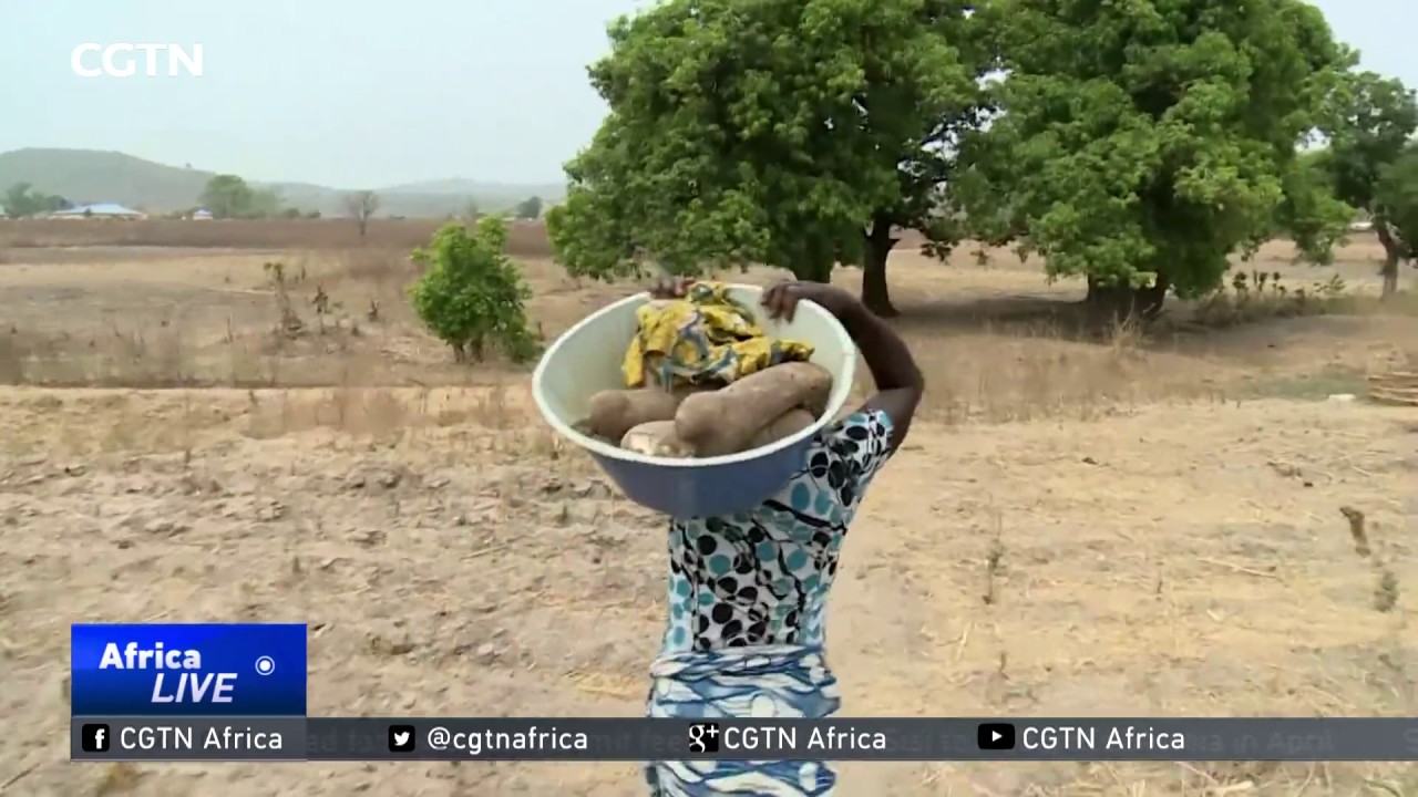 Gbagyi community known to some as the true people of Abuja