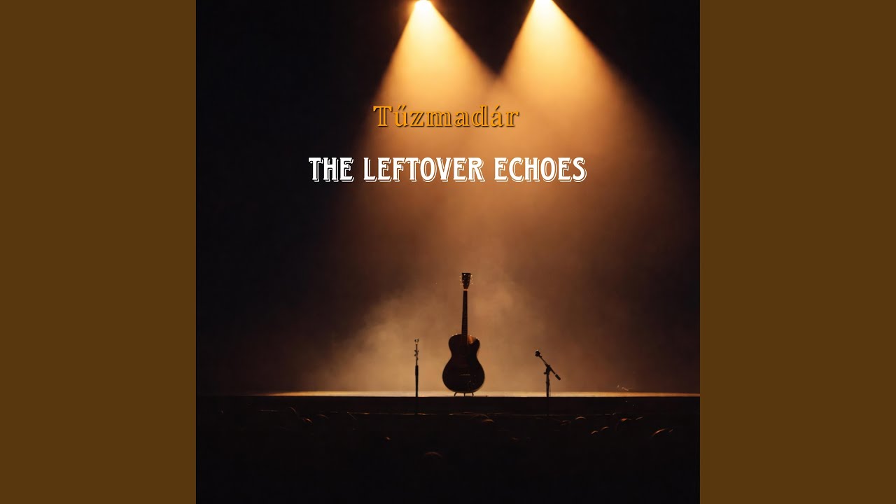 The Leftover Echoes