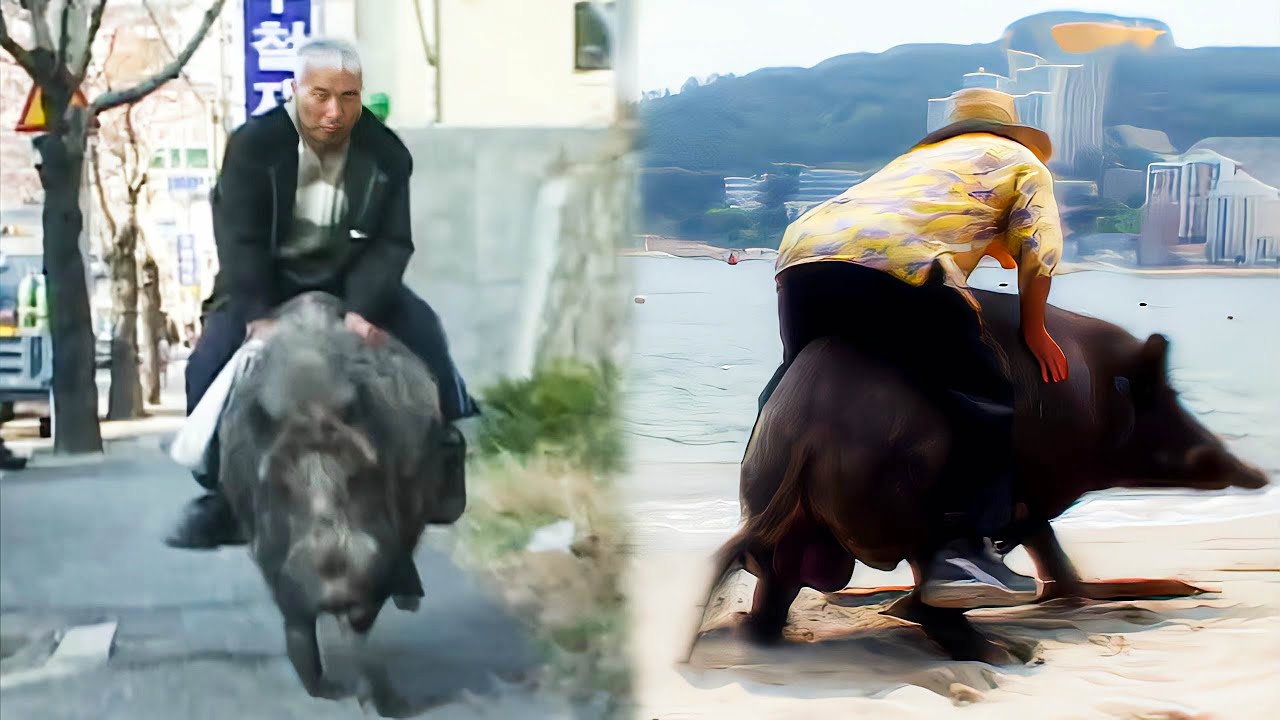 イノシシに乗って買い物に行くおじさん。驚くべき光景の裏には、心を揺さぶる秘話が隠されていた【感動】