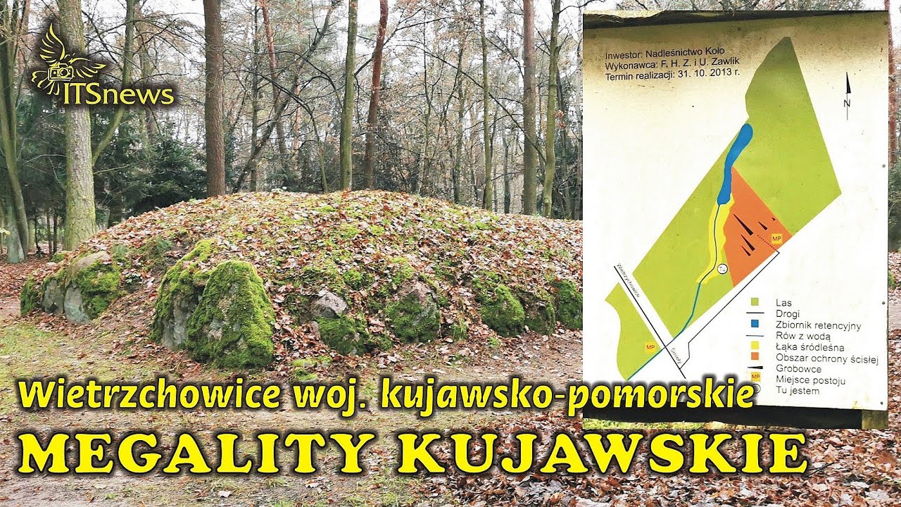 Kujawski Park Kulturowy Megality Kujawskie. Wietrzchowice, Gaj Stolarski woj. kujawsko-pomorskie.