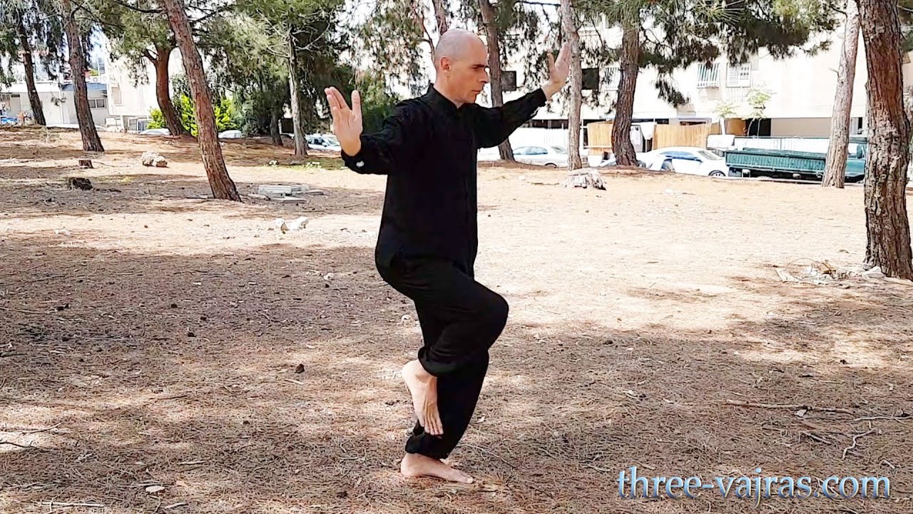 Owl Style - Vladimir Pyatsky | Three Vajras