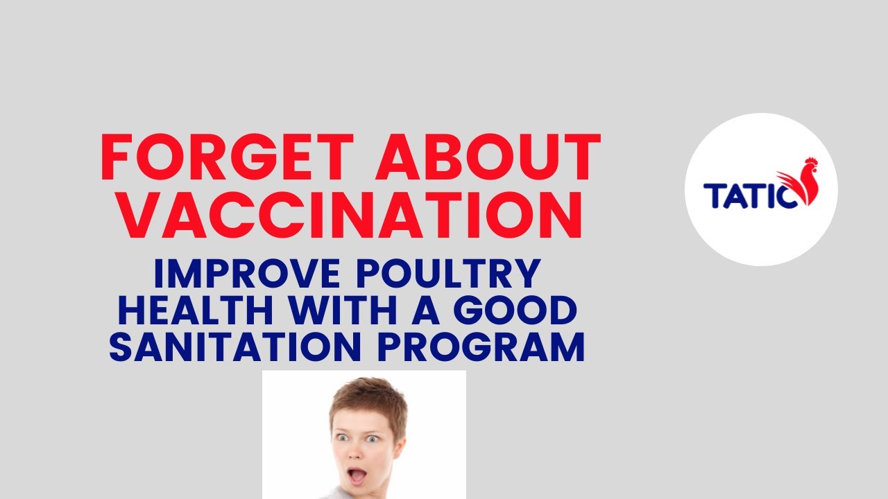 HOW TO IMPROVE POULTRY HEALTH - PART 1