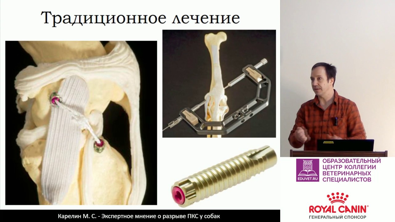 Карелин М. С. - Экспертное мнение о разрыве ПКС у собак. Часть 2