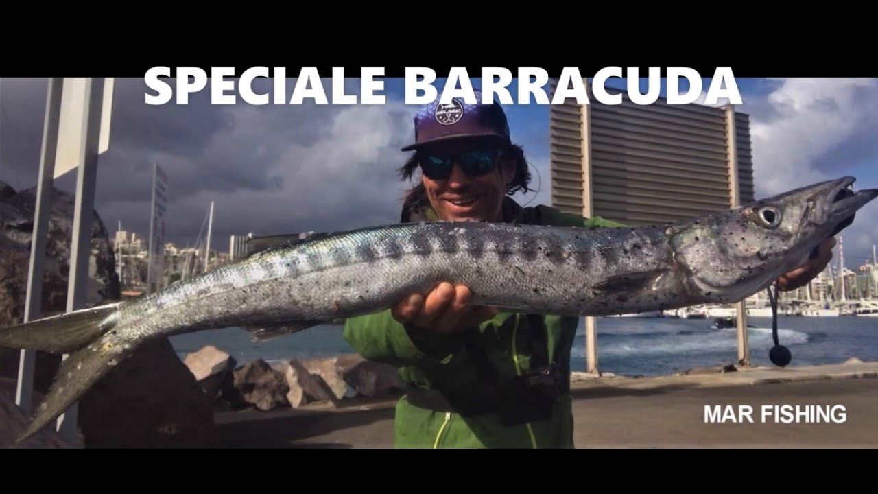 COME RECUPERARE gli  ARTIFICIALI e quali usare nello SPINNING al BARRACUDA