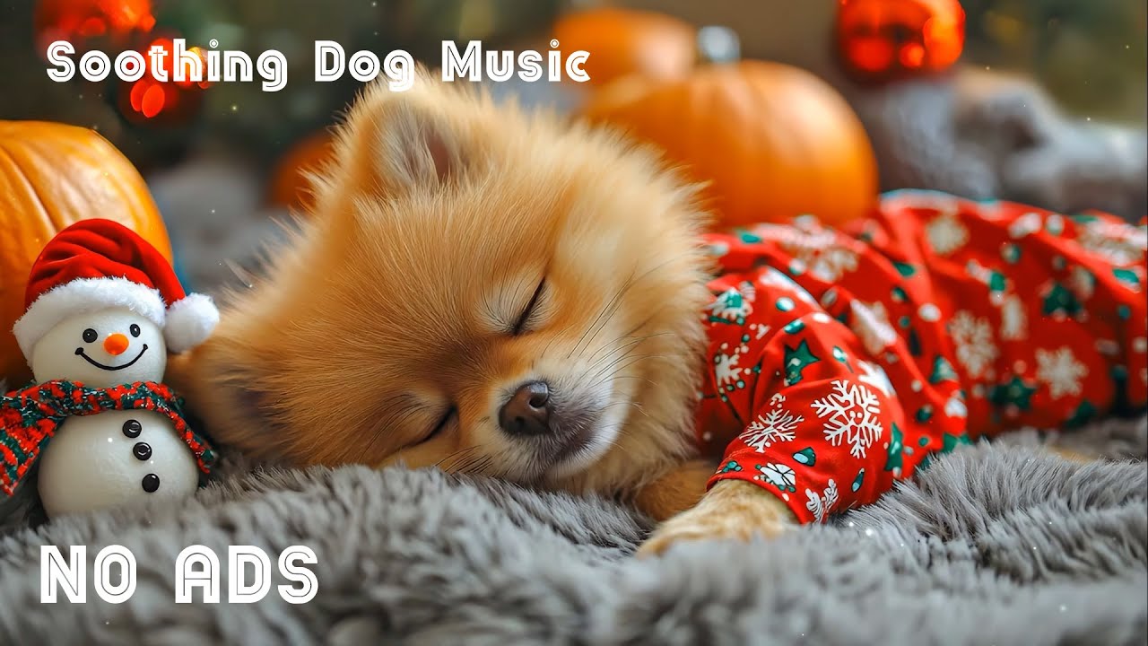 12 Hours Comforting Music for Dogs 🐶🎅 Stress Relief & Peaceful Rest 💕Dog relaxation 🎄 No Ads