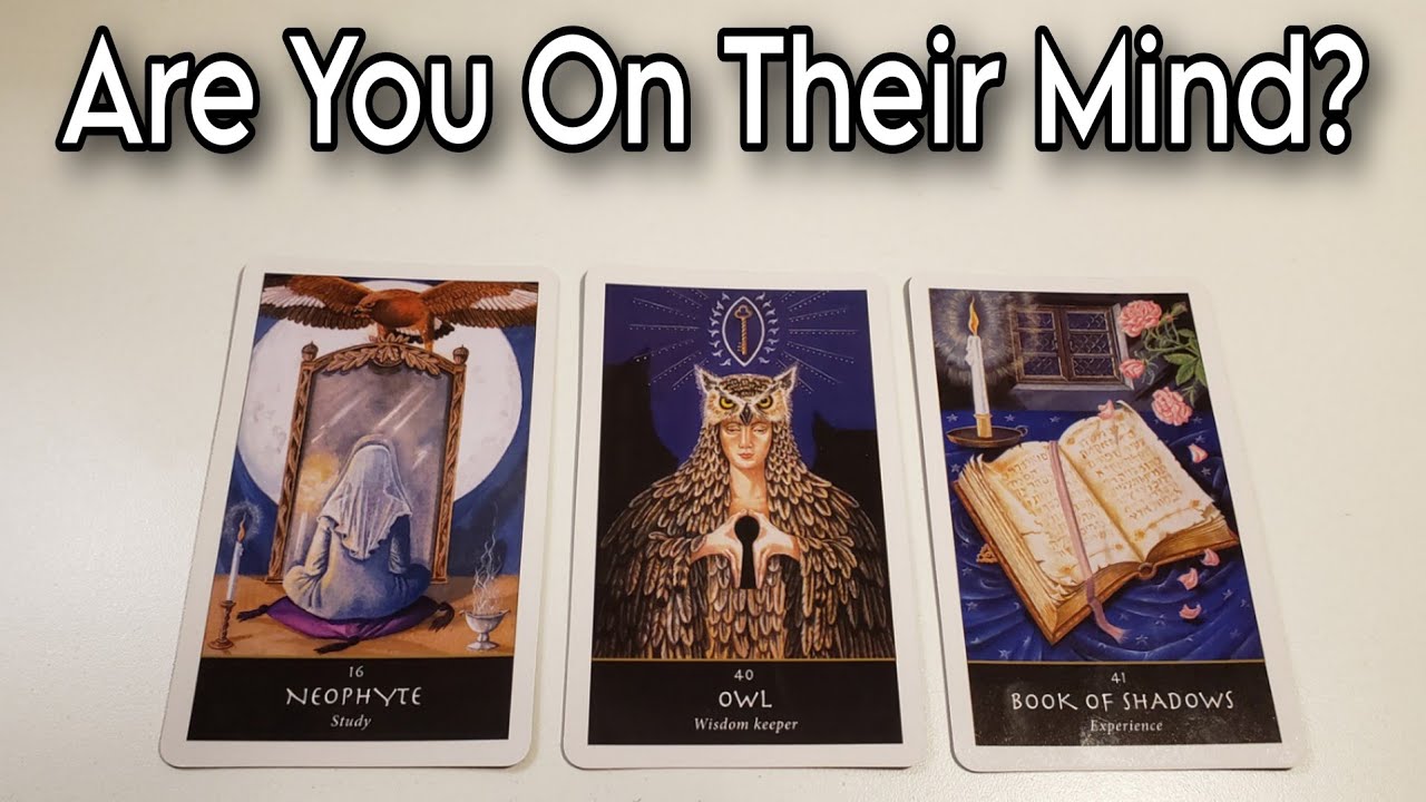 Are You On Their Mind? What Are They Thinking Of You & The Connection? Pick A Card Love Reading