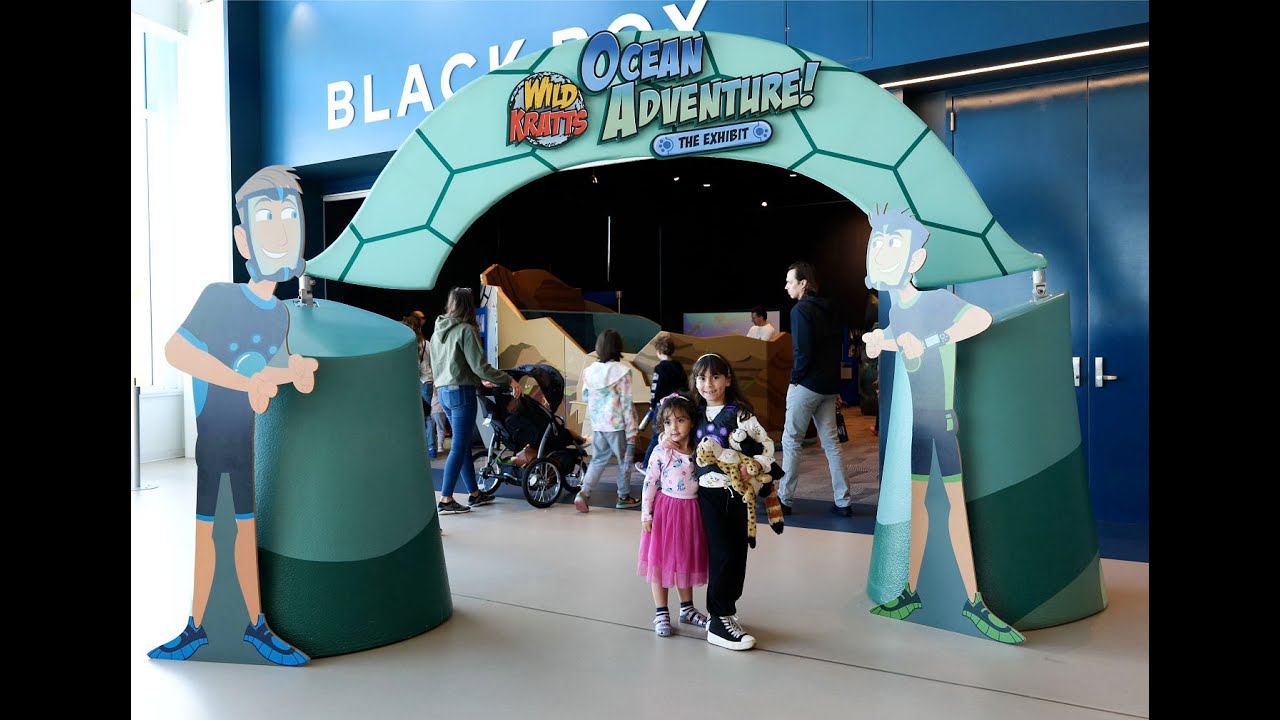 Wild Kratts Exhibit - Florida Children's Museum