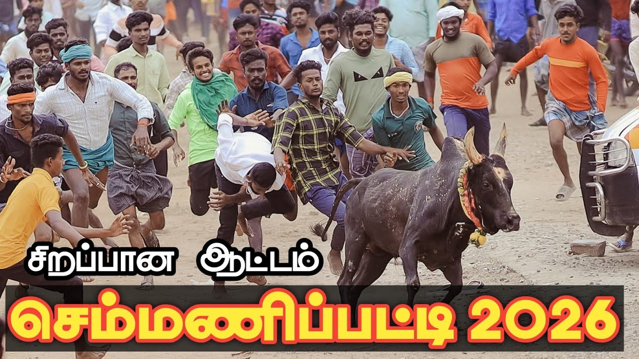 சிறப்பாக நடைபெற்ற /செம்மணிபட்டி மஞ்சுவிரட்டு 2026/semmanipatti manjuvirattu 