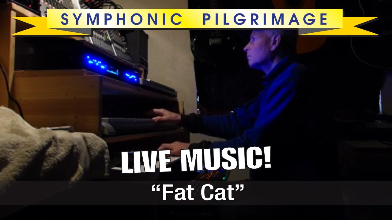 Music Live Performance #015 ~ Orchestrated Created Instruments / Instrumental