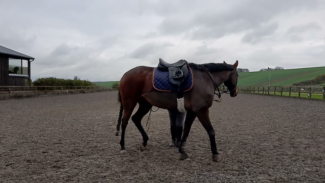 TRT challenge 2 in daylight. Feels like there is some improvement and more suppleness happening.