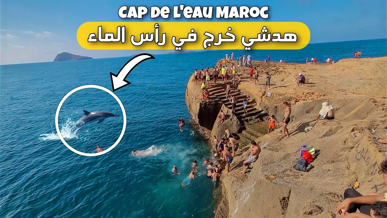 ظهور حيتان كبيرة في رأس الماء إقليم الناظور || Cap de l'eau Maroc 🇲🇦 🇲🇦