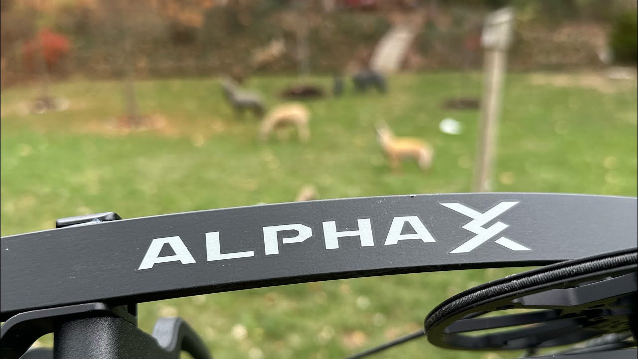 Обзор Hoyt Alpha X 33 (Альфа лидирует в стае)