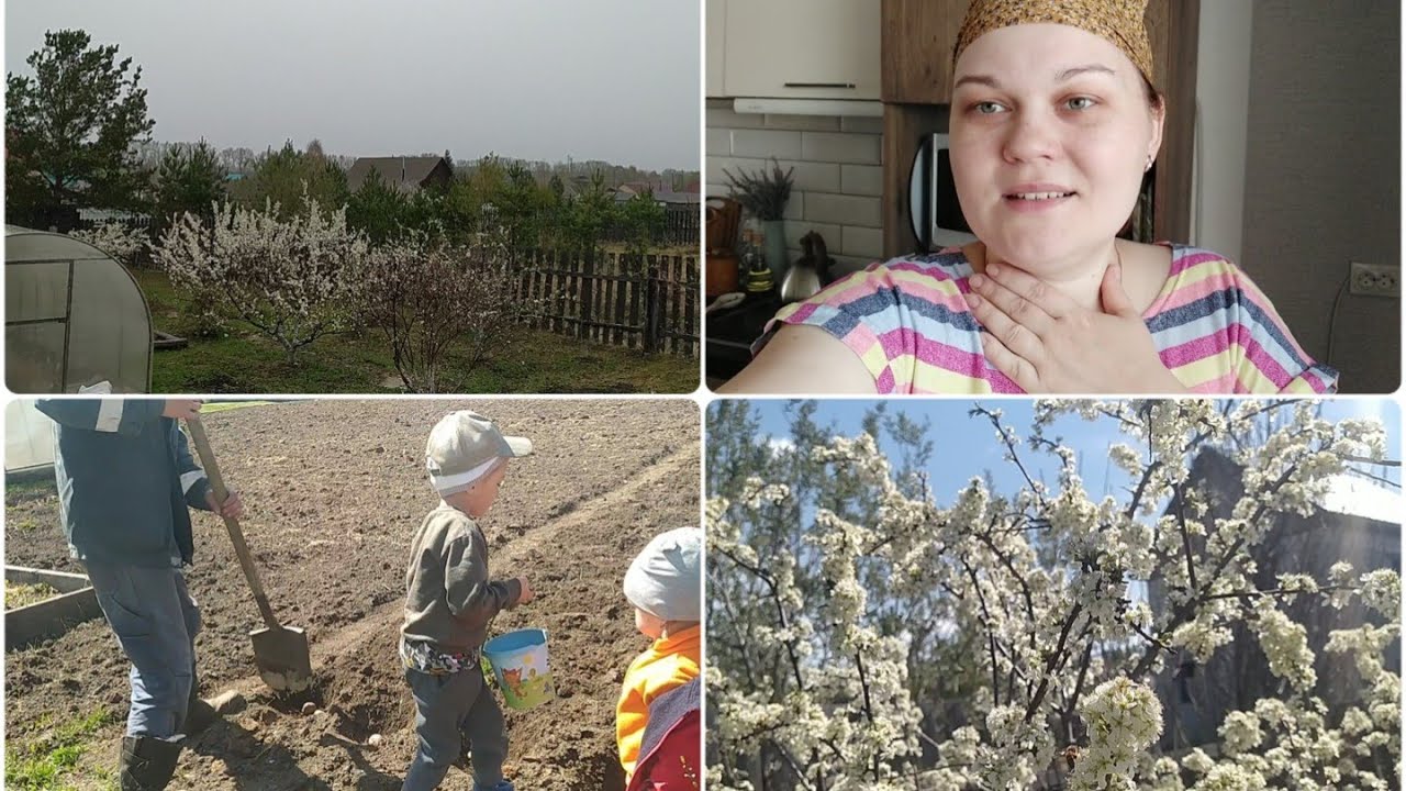 Снег 18 мая🥶 Шок! Я в работе 🎂 Дети с мужем сажают картошку🥔