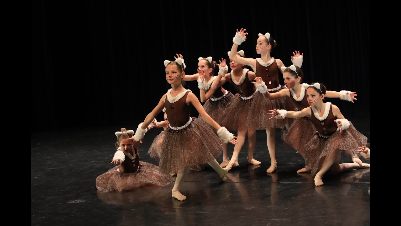 CATS - Concours national 2023