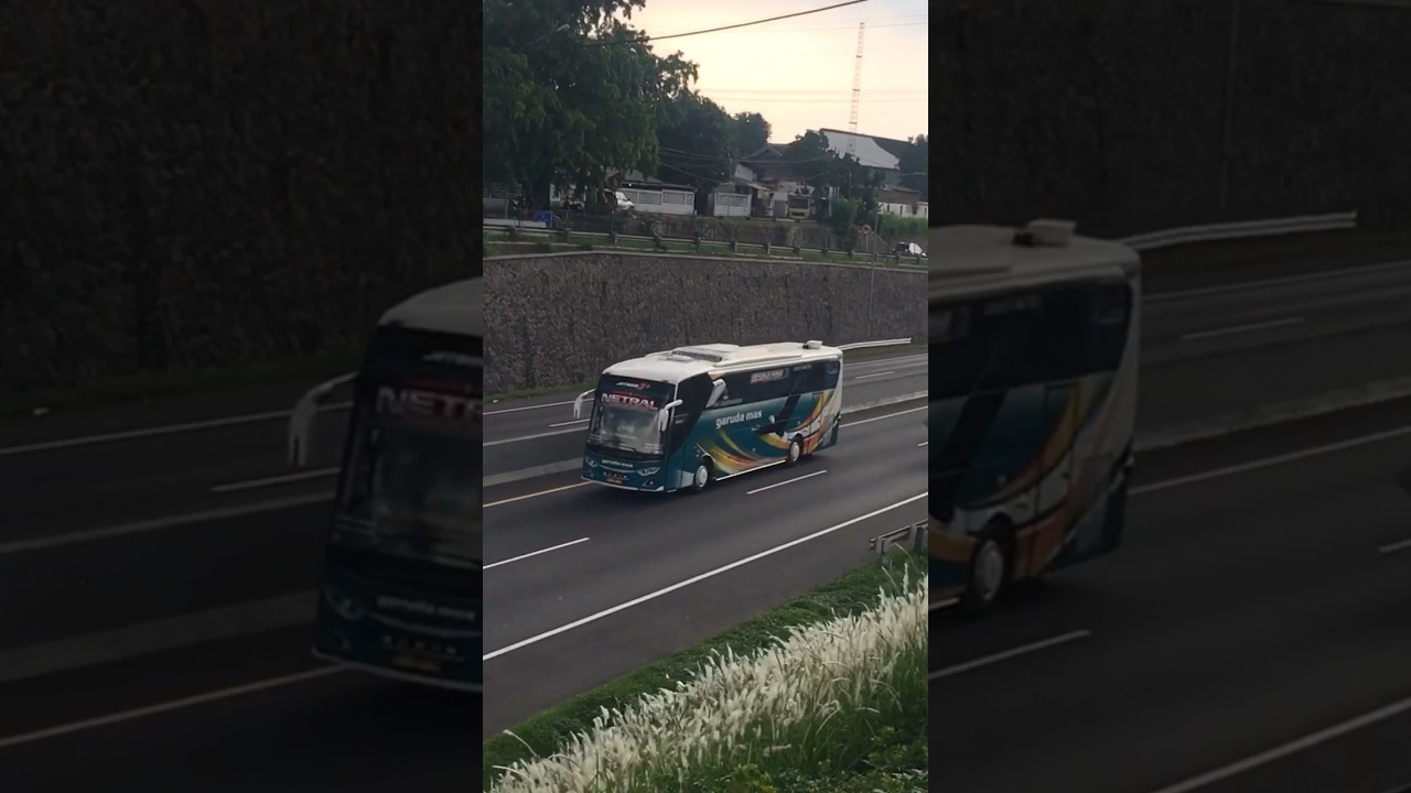 Garuda Mas NETRAL menuju Purwodadi‼️ #garudamas #netral #jetbus #adiputro #busakap #shorts
