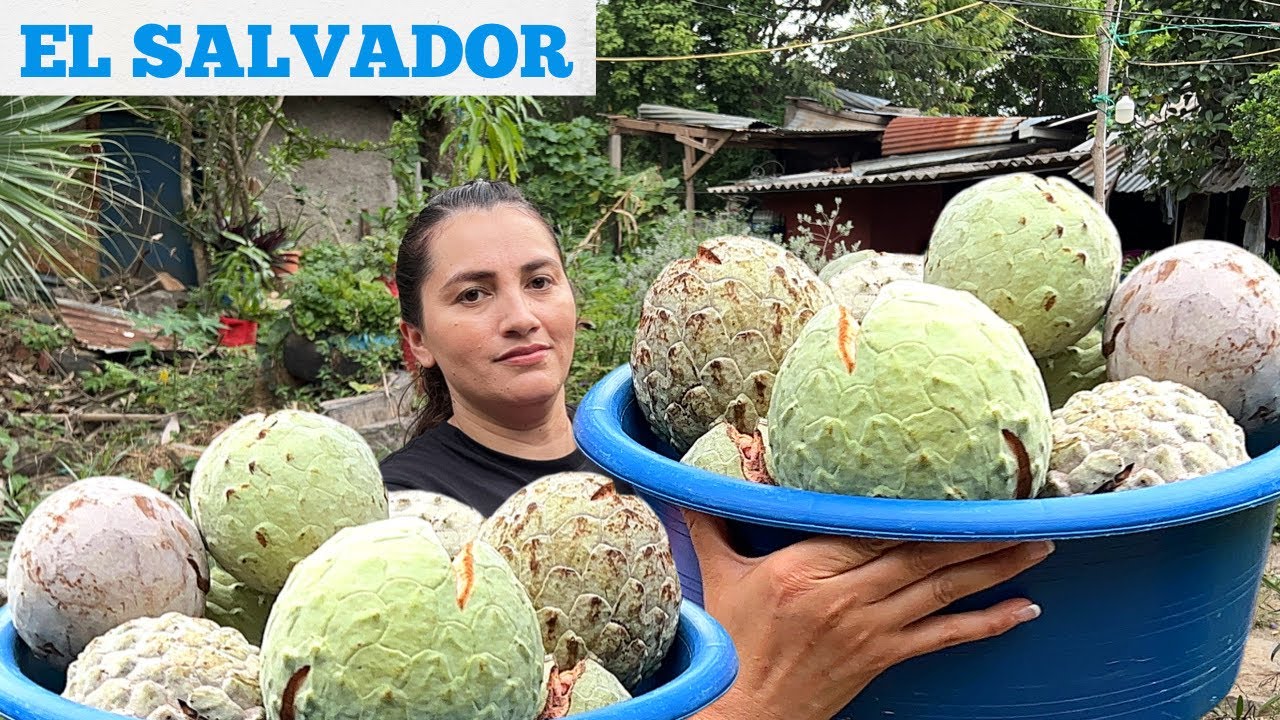 Vendiendo anonas en El Salvador - $5.00 C/U 💰😱