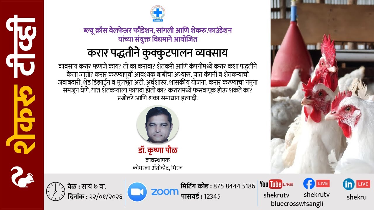 करार पद्धतीने कुक्कुटपालन व्यवसाय / डॉ. कृष्णा पौळ