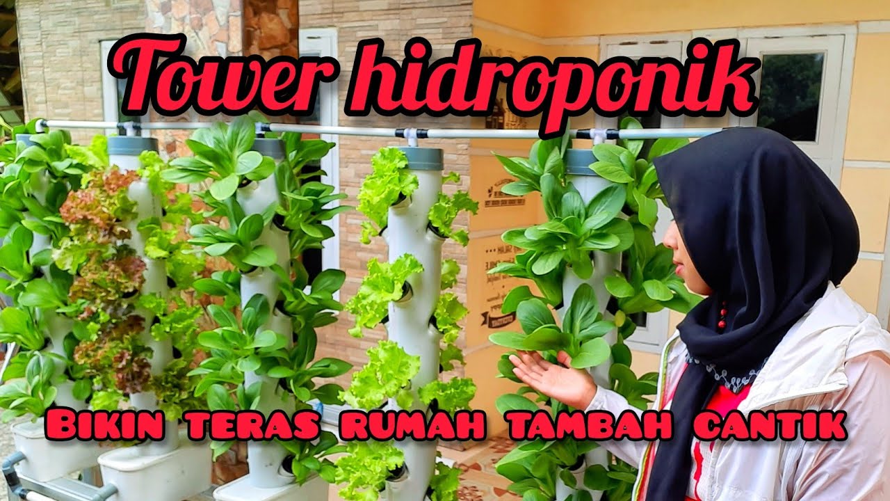 DIY Cara pembuatan tower hidroponik vertikultur