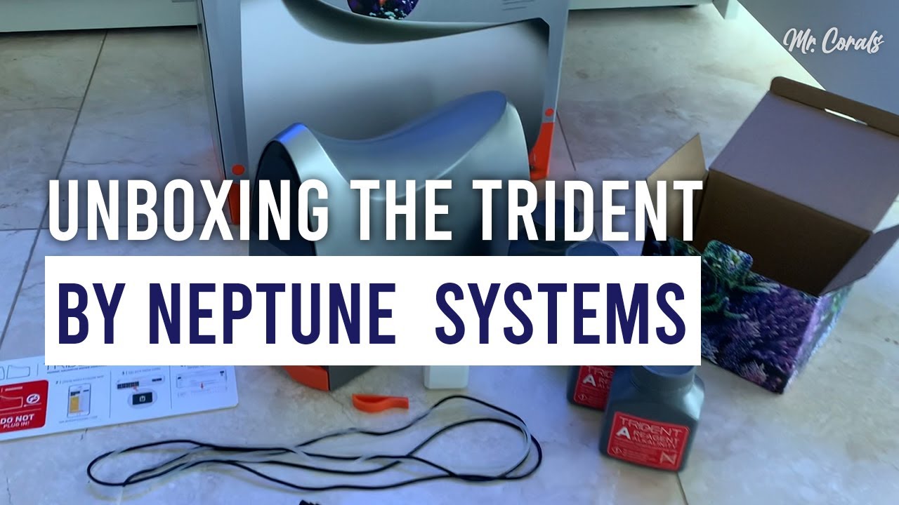 openbox Trident NEPTUNE Mr Corals en Español