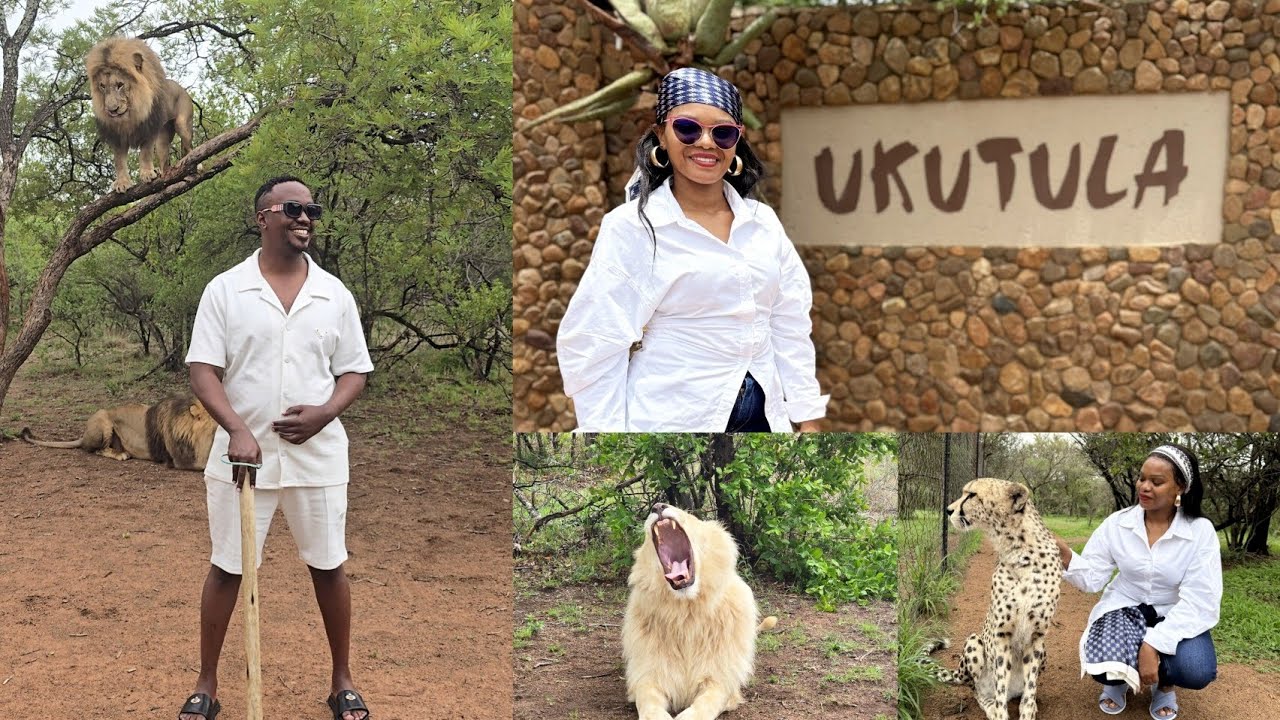 You will NOT believe, SOLO LION WALK || Our Unforgettable UKUTULA  🇿🇦 Experience, JOHANNESBURG 