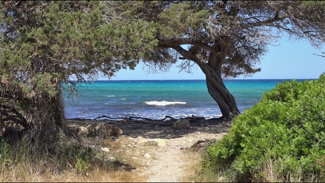 L'Oasi di Biderosa  Sardegna